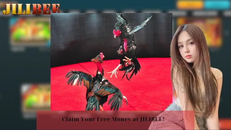 ph cash casino how do i bet on a horse race